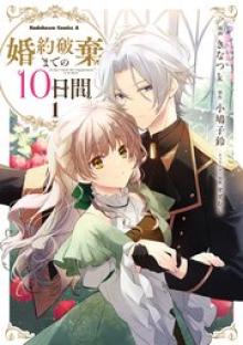 婚約破棄までの10日間