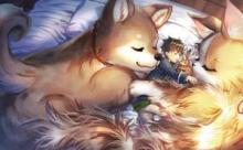 もふもふとむくむくと異世界漂流生活 ふもふとむくむくと異世界漂流生活