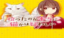 拾ったのが本当に猫かは疑わしい