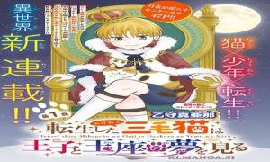 転生した三毛猫は 王子と玉座の夢を見る。