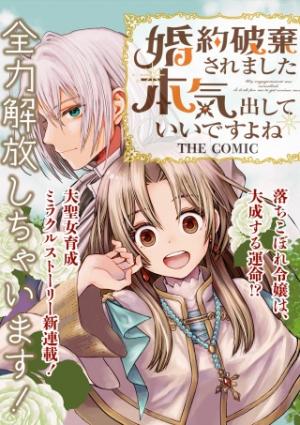 婚約破棄されました 本気出していいですよね