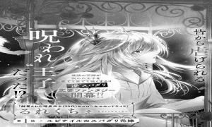 スパダリ花嫁のプリンスメーカー